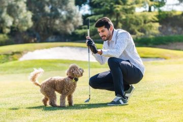 What To Know When Bringing Your Dog To the Golf Course