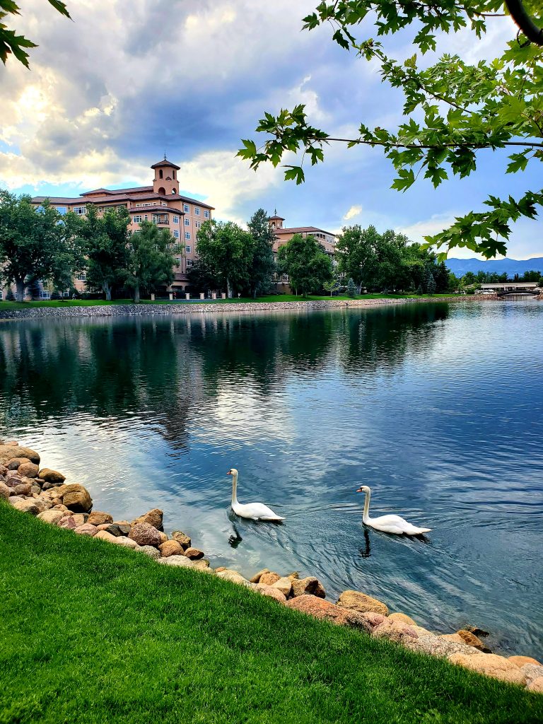 Broadmoor Lake with swans