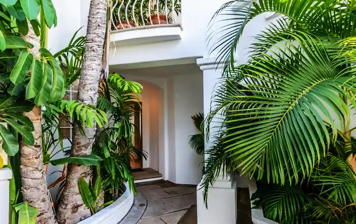 Airbnb di Cabo